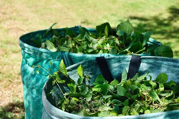 Sacs de déchets verts, illustration